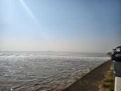 -观潮胜地公园