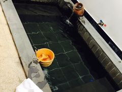 -水底山庄园温泉