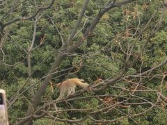 -苏州上方山国家森林公园
