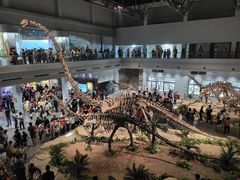 -自贡恐龙博物馆