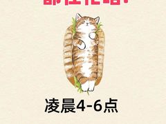 -全心全意连锁动物医院(石景山店)
