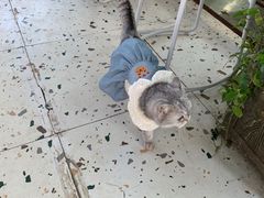-小时光咖啡馆(北锣鼓巷店)