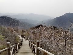 -大岭沟猕猴桃谷风景区
