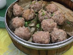 -姚林轩