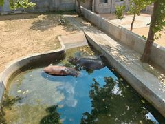 -西霞口神雕山野生动物世界