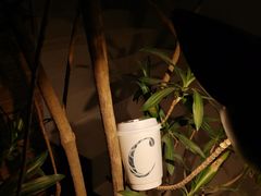 -C Cafe(朵云书院·戏剧店)