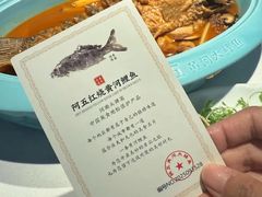 -阿五黄河大鲤鱼(英协路店)