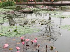 -那考河湿地公园