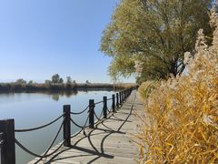 -野鸭湖国家湿地公园