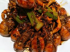 麻辣澳洲小龙虾-虾胡闹·澳洲小龙虾·烧烤(福田鲨鱼店)