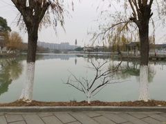 -八大山人梅湖景区