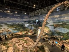 -自贡恐龙博物馆