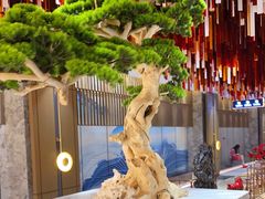 -青水瓦台汤泉(未央店)