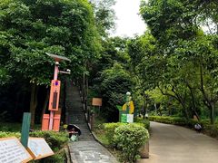 -田心森林公园