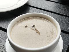 奶油蘑菇汤mushroomS-布拉格餐厅· 中欧捷克菜(全国首店)