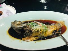 老虎斑-榕港名轩(天禧店)