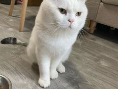 -美美宠物诊疗中心·异宠·骨科(滨江东信分院)