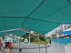 -海合安武汉极地海洋公园