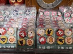 -猫咪博物馆(顶澳仔猫街店)