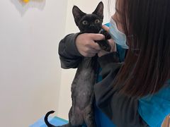 -美迦爱-牙专科·兔科·骨科诊疗中心(北苑店)