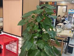 -尚岛私房菜(西方巷店)
