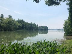 -东湖落雁景区