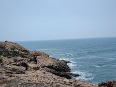 -广东惠东海龟国家级自然保护区