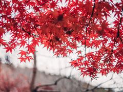 -浮槎山