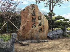 -天适樱花悠乐园