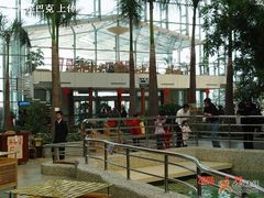 餐厅-绿色时代大酒店