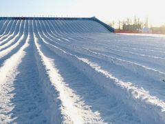 -绿野森林乐园冰雪季