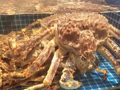 -东海怡品海鲜豆捞(星街坊店)