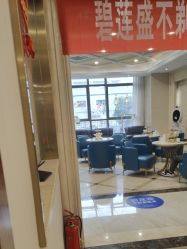 -碧莲盛·不剃发植发