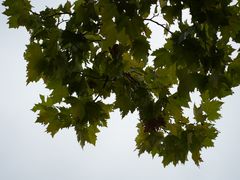 -白塘生态植物园