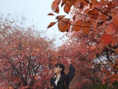-秦岭风景区