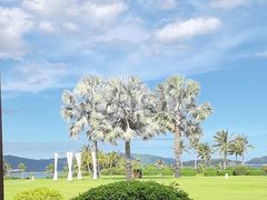 -三亚亚龙湾瑞吉酒店·宴悦Driftwood·游水海鲜·牛排·草坪·私人定制
