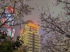 -东方明珠广播电视塔