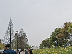 -同里国家湿地公园
