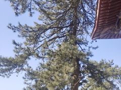 -终南山南五台景区