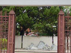 -庾园