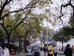 -马文章胖子甑糕(洒金桥店)