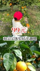 -前小桔亲子创意农场·草莓采摘·露营烧烤