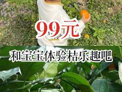 -前小桔亲子创意农场·草莓采摘·露营烧烤