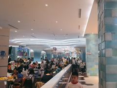 -帝企鹅自助餐厅•儿童岛•真企鹅(长隆企鹅酒店)