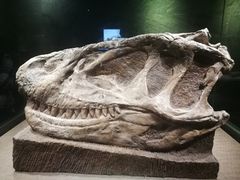 -自贡恐龙博物馆