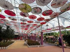 -广东花都香草世界旅游度假区