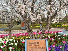 -苏州上方山国家森林公园