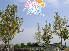 -歌斐颂巧克力小镇