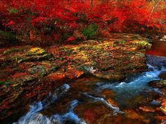 -丹东天桥沟景区