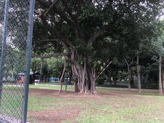 -光明港公园